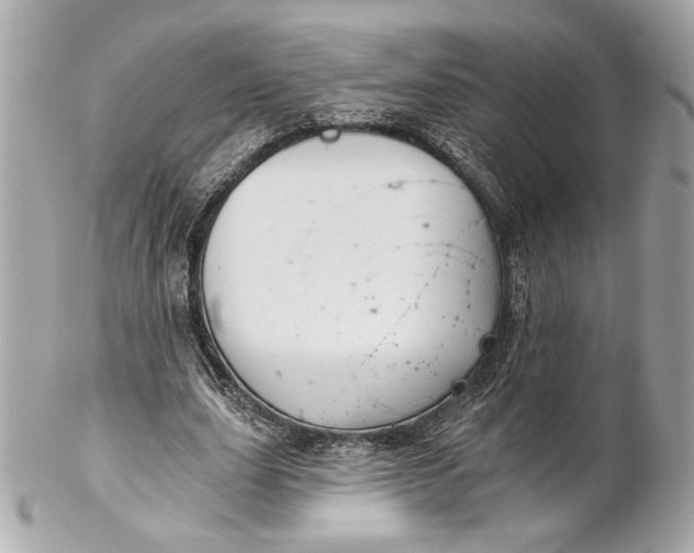 X0000102240631200808151754