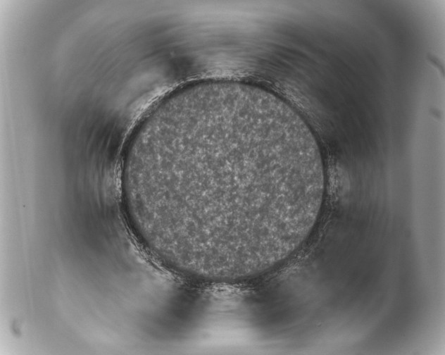 X0000102240632200808151754