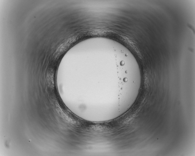 X0000102240633200808151754