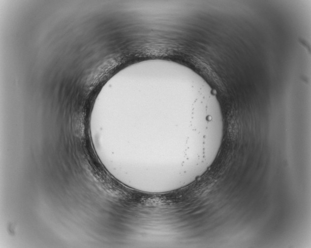 X0000102240635200808151754