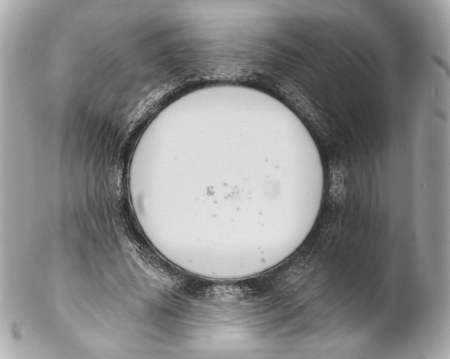 X0000102240636200808151754