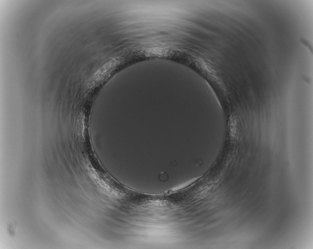 X0000102240637200808151754