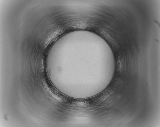 X0000102240638200808151754