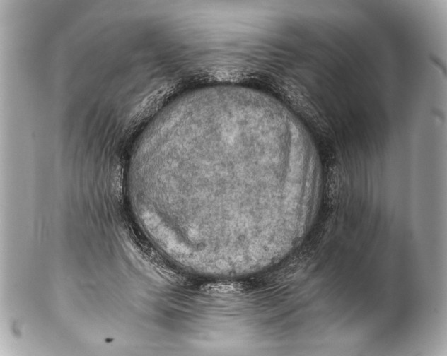 X0000102240639200808151754