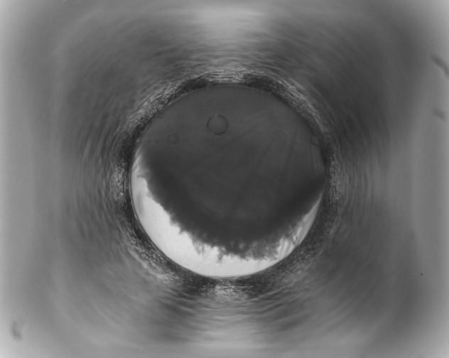 X0000102240641200808151754