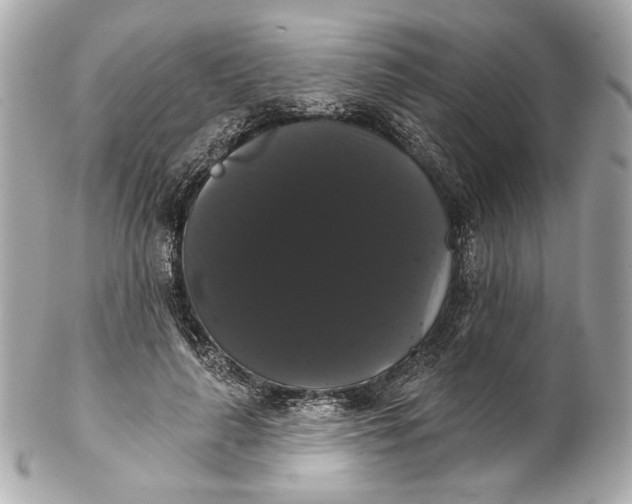 X0000102240643200808151754