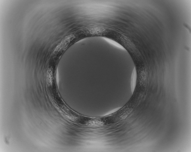 X0000102240644200808151754