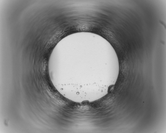 X0000102240645200808151754