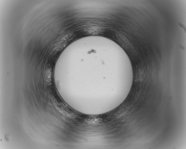 X0000102240646200808151754