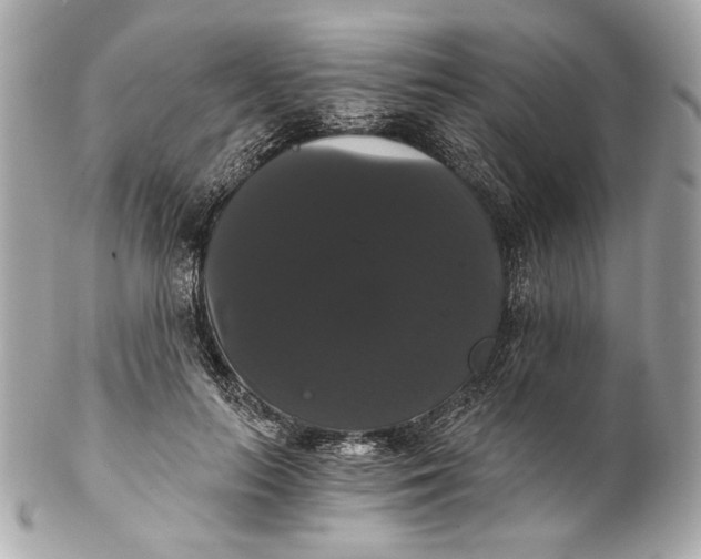 X0000102240647200808151754