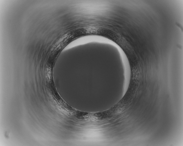 X0000102240648200808151754