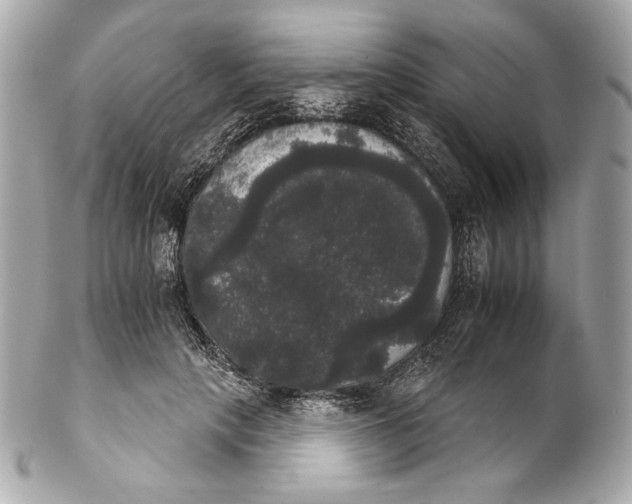 X0000102240649200808151754