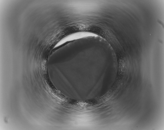 X0000102240650200808151754