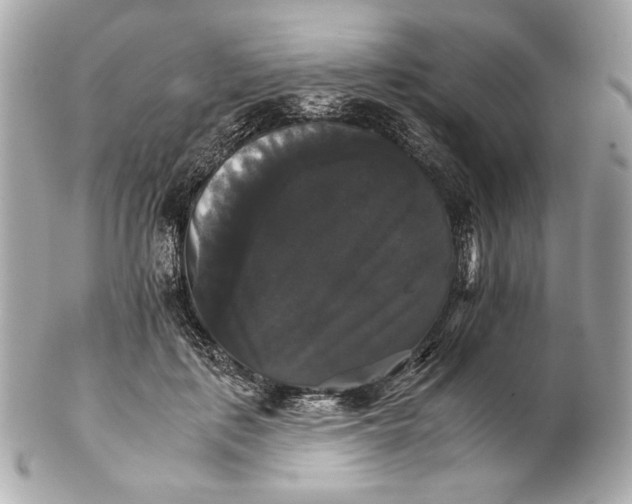 X0000102240651200808151754