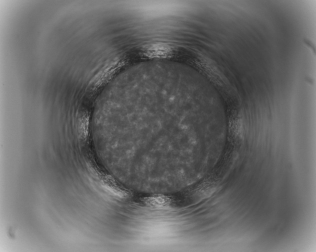 X0000102240652200808151754