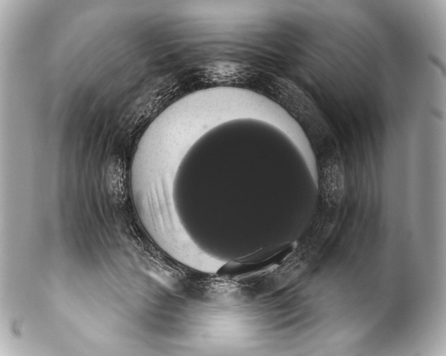 X0000102240653200808151754