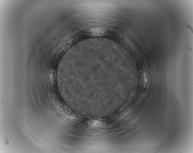 X0000102240655200808151754