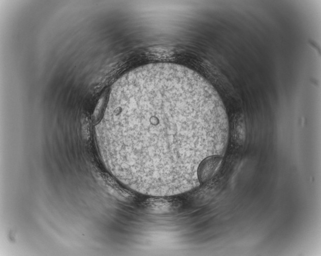 X0000102240658200808151754