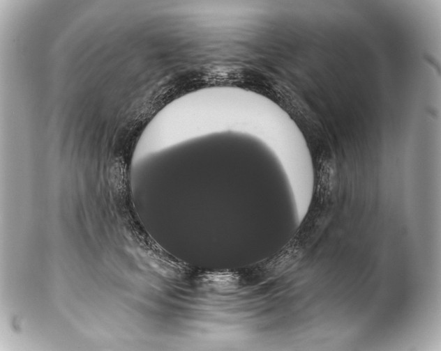 X0000102240659200808151754