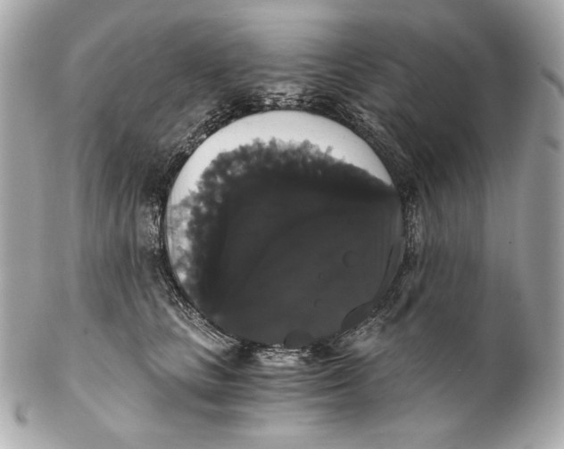 X0000102240661200808151754