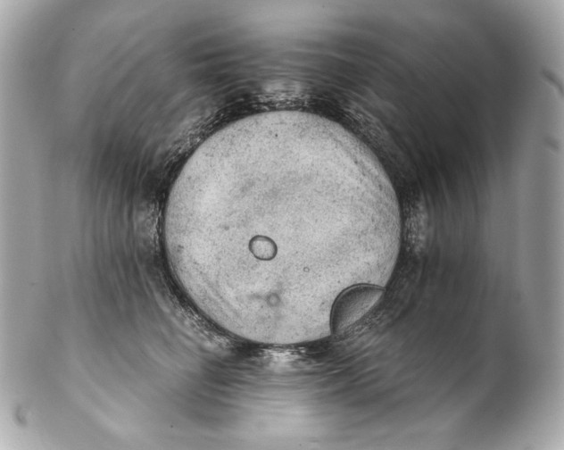 X0000102240662200808151754