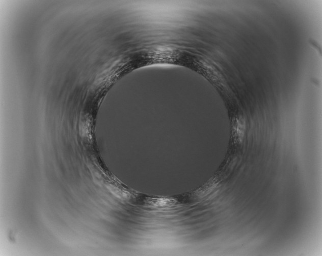 X0000102240663200808151754