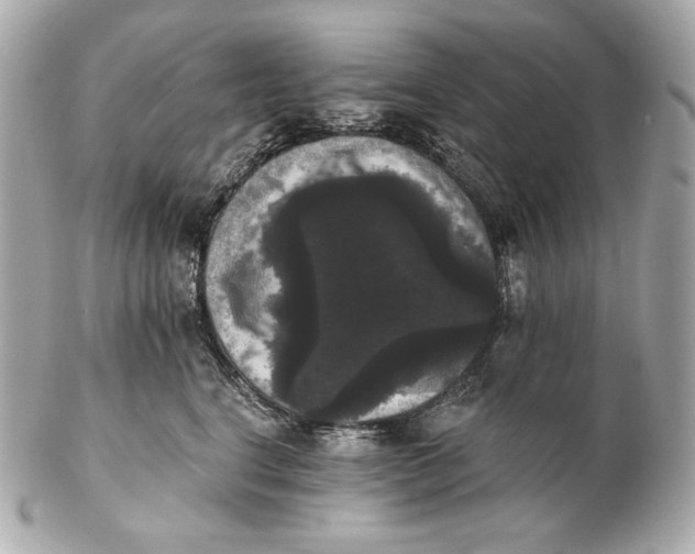 X0000102240664200808151754