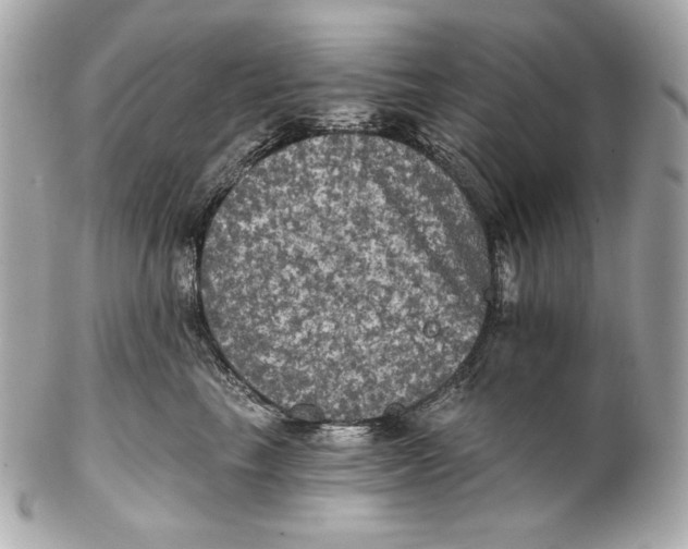 X0000102240665200808151754