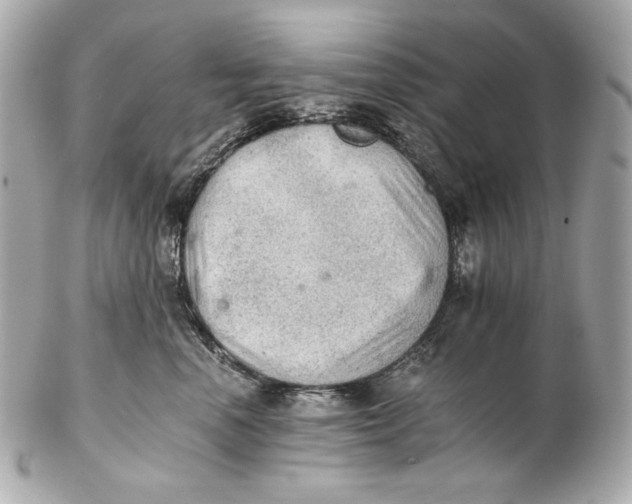 X0000102240666200808151754