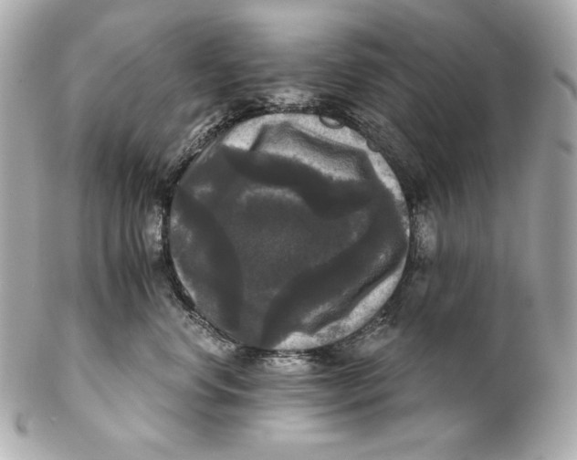 X0000102240668200808151755