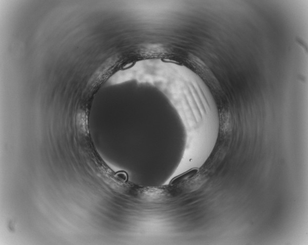 X0000102240669200808151755