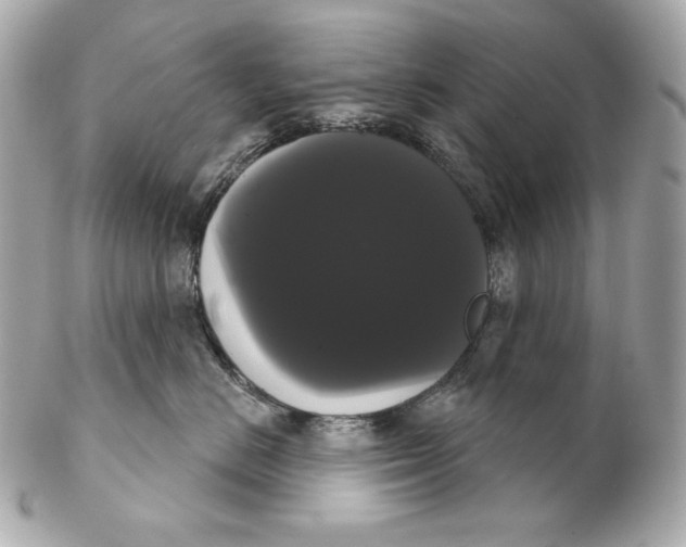 X0000102240670200808151755