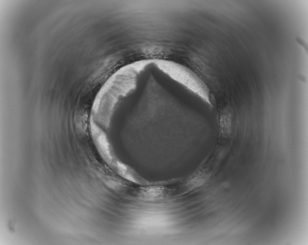 X0000102240671200808151755