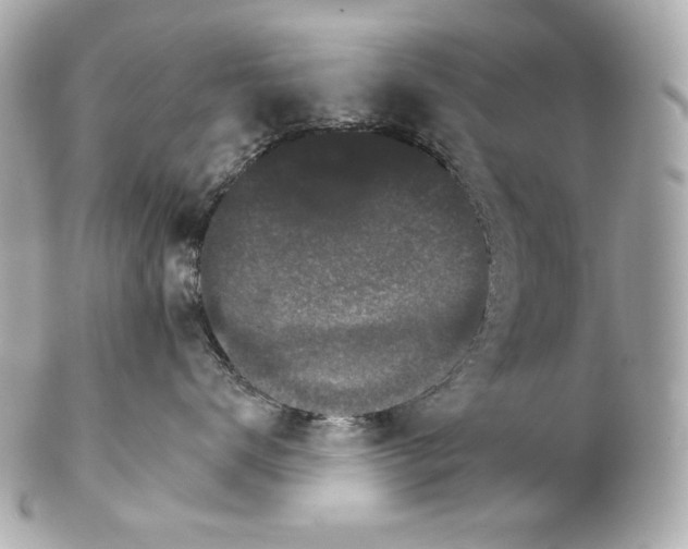 X0000102240672200808151755