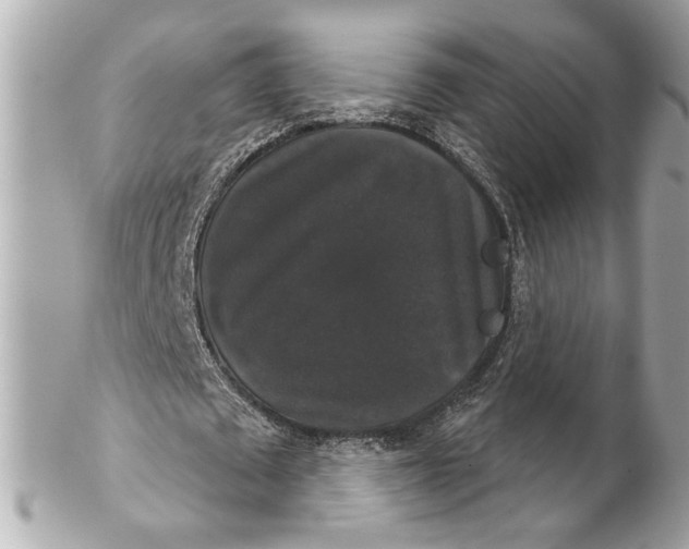 X0000102240673200808151754