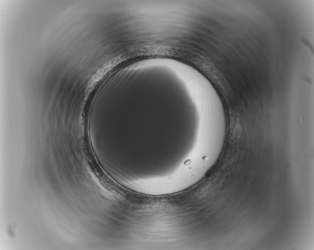 X0000102240674200808151754