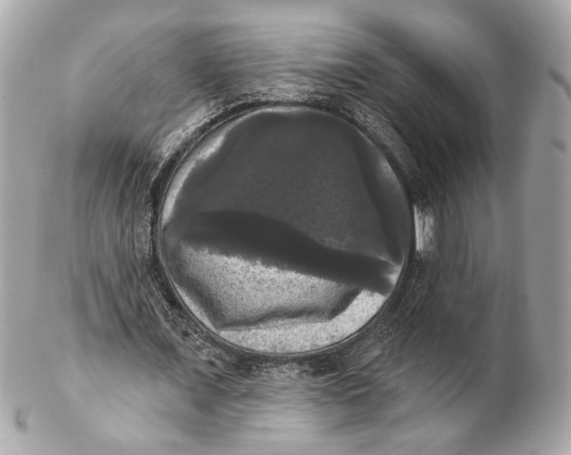 X0000102240675200808151754