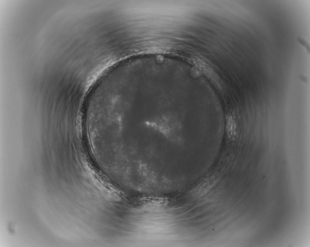 X0000102240676200808151754