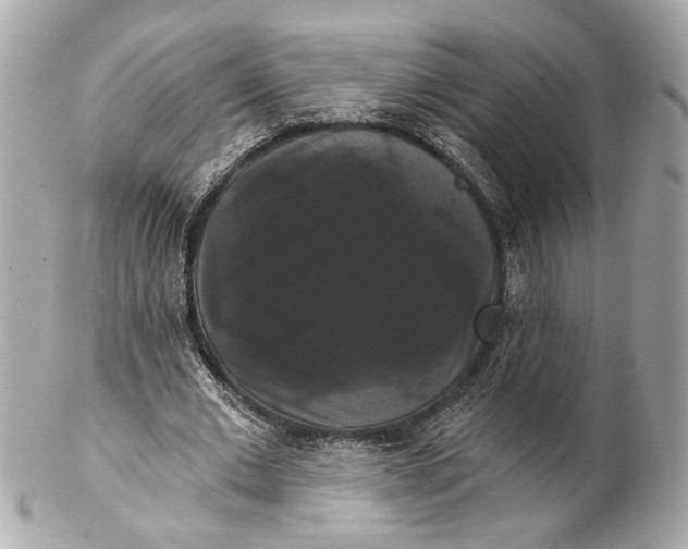 X0000102240677200808151754