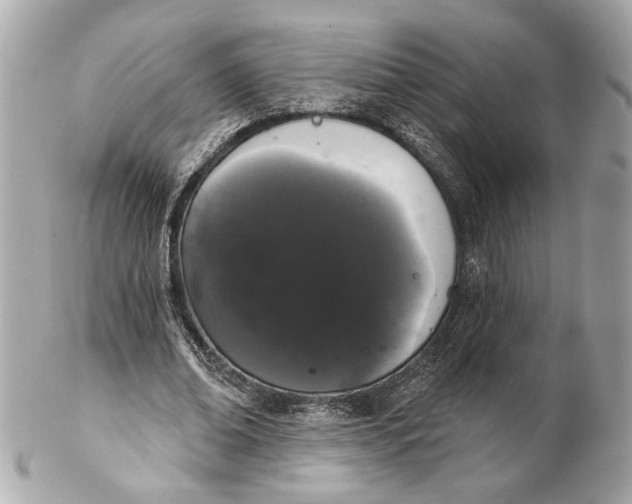 X0000102240678200808151754