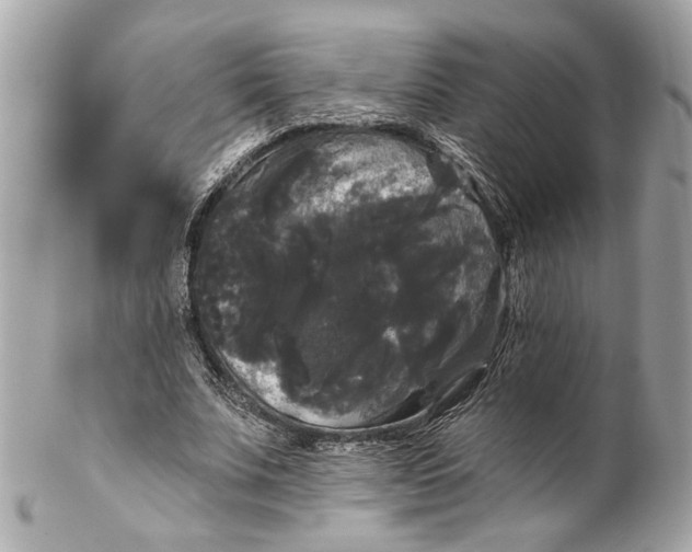 X0000102240679200808151754