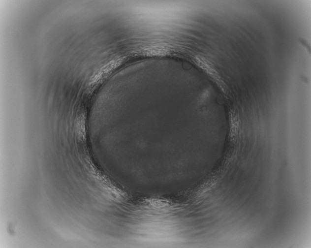 X0000102240681200808151754