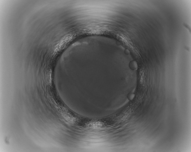 X0000102240685200808151754