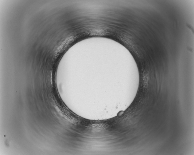 X0000102240686200808151754