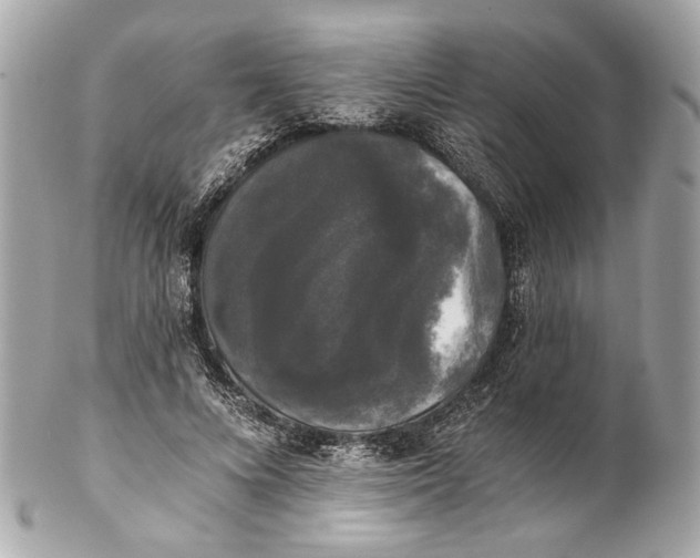 X0000102240688200808151754