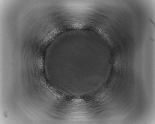 X0000102240689200808151754