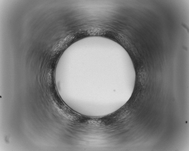 X0000102240690200808151754