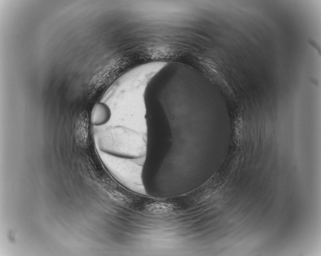 X0000102240691200808151754