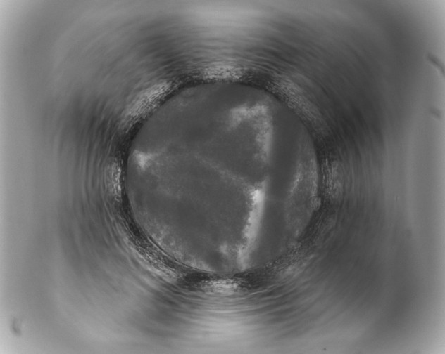 X0000102240692200808151754