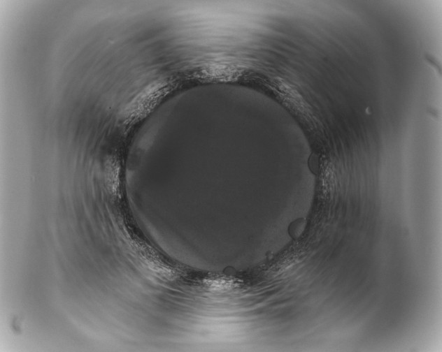 X0000102240693200808151754